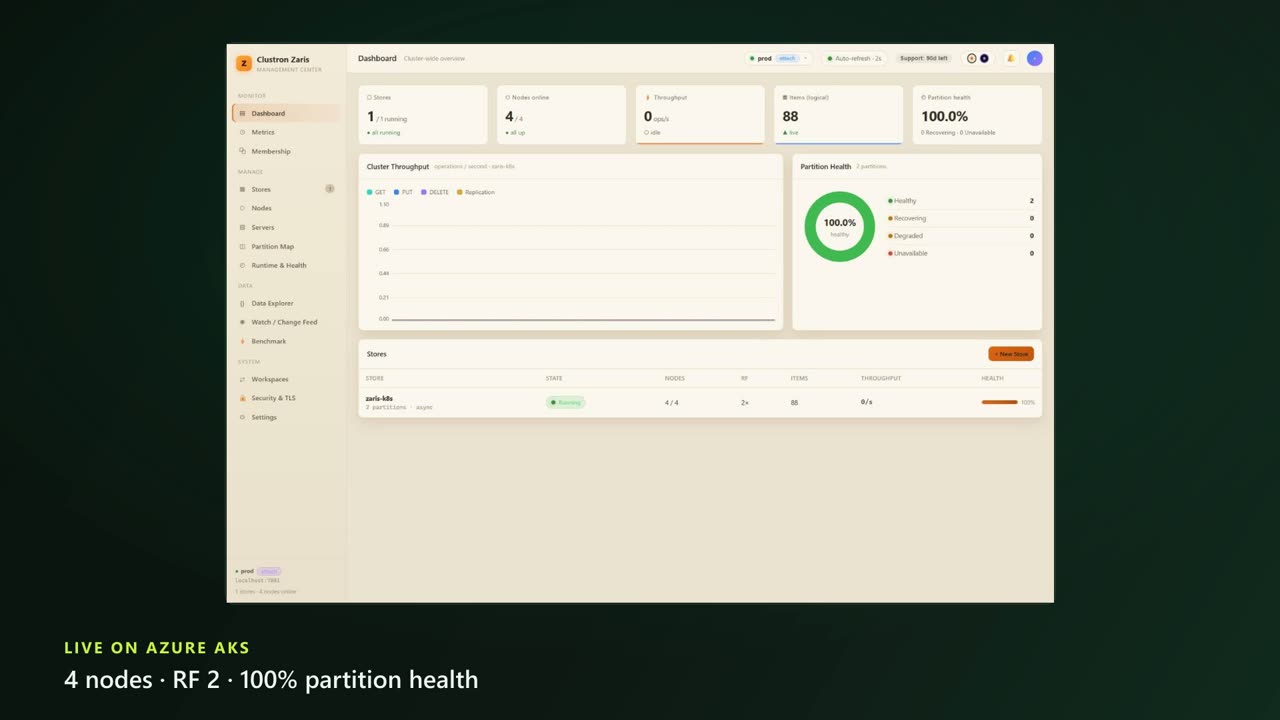 Getting Started — a Distributed Cache for .NET in Minutes — screen 3