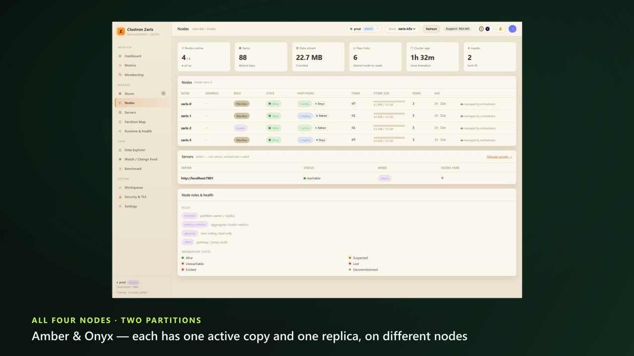 Getting Started — a Distributed Cache for .NET in Minutes — screen 4