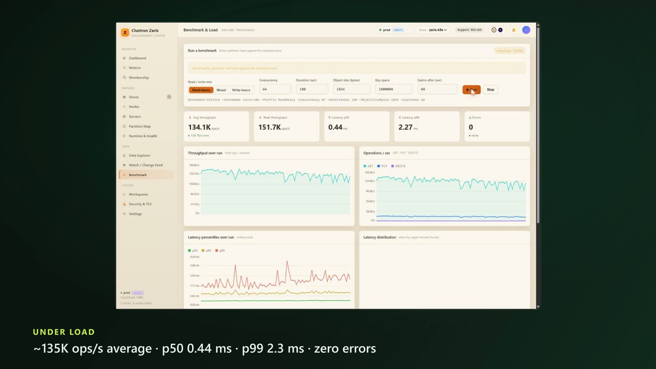 Getting Started — a Distributed Cache for .NET in Minutes — screen 5