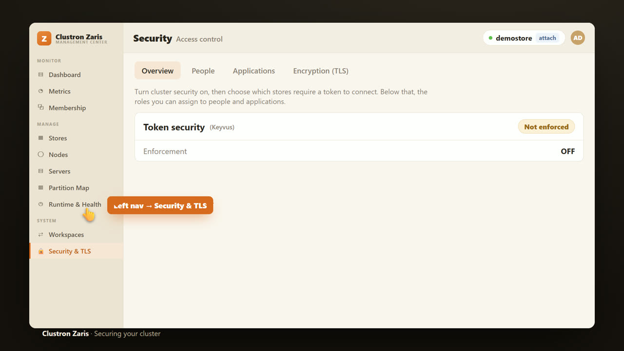 Securing a Distributed .NET Cache — Authentication & RBAC — screen 4
