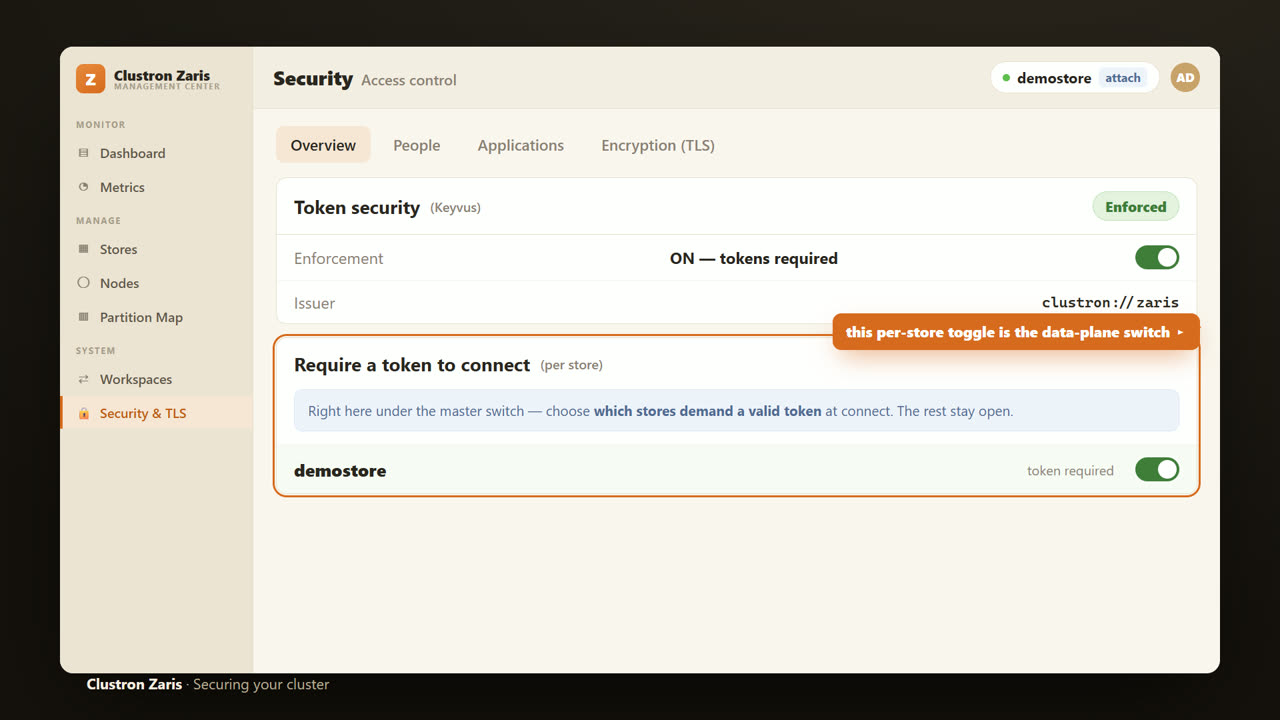 Securing a Distributed .NET Cache — Authentication & RBAC — screen 5