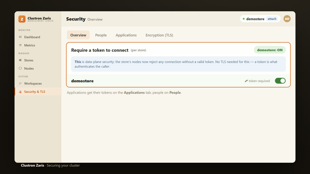 Securing a Distributed .NET Cache — Authentication & RBAC — screen 10