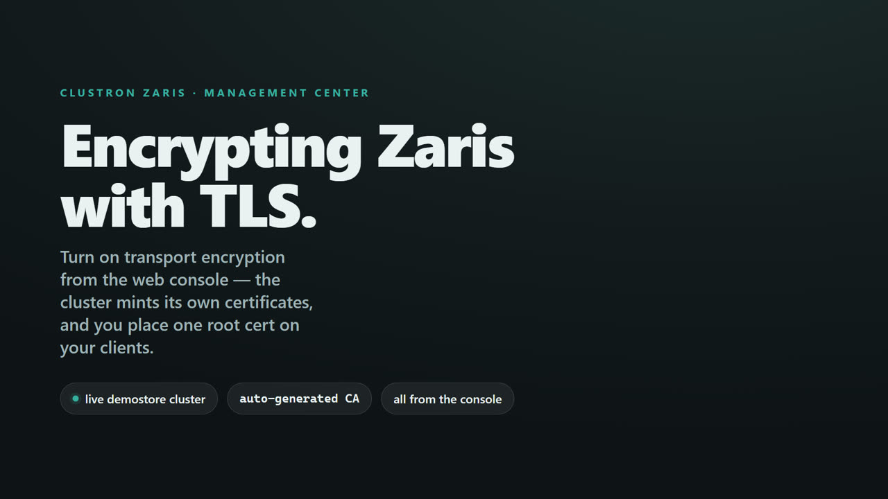TLS & Mutual TLS for a Distributed .NET Cache — screen 1