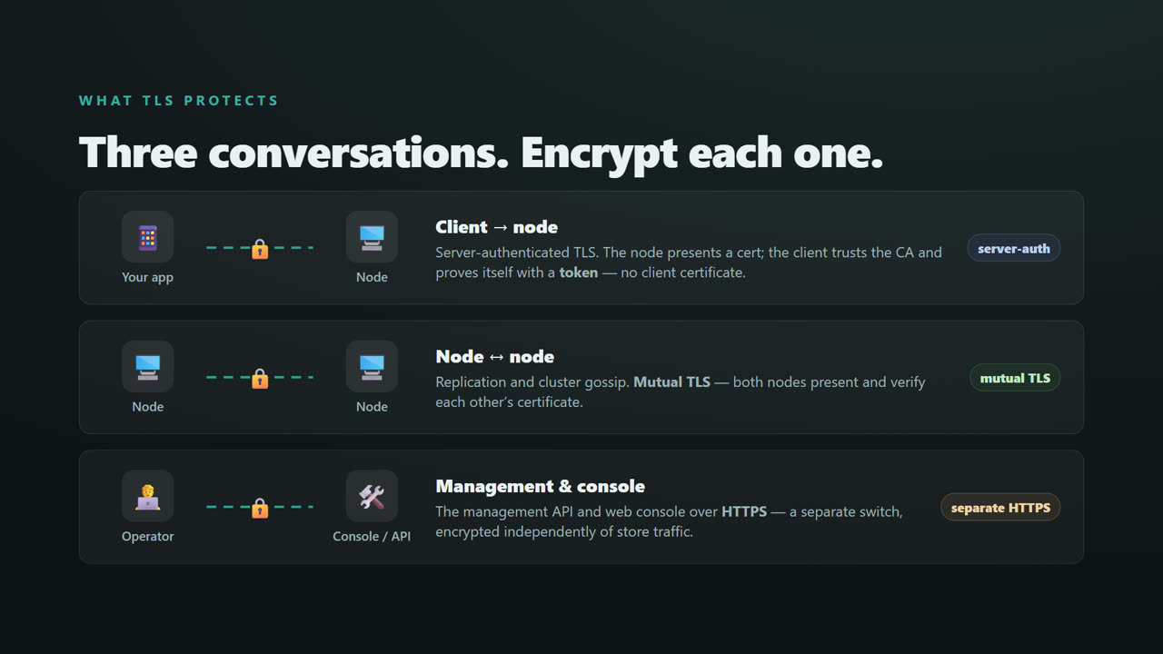 TLS & Mutual TLS for a Distributed .NET Cache — screen 2