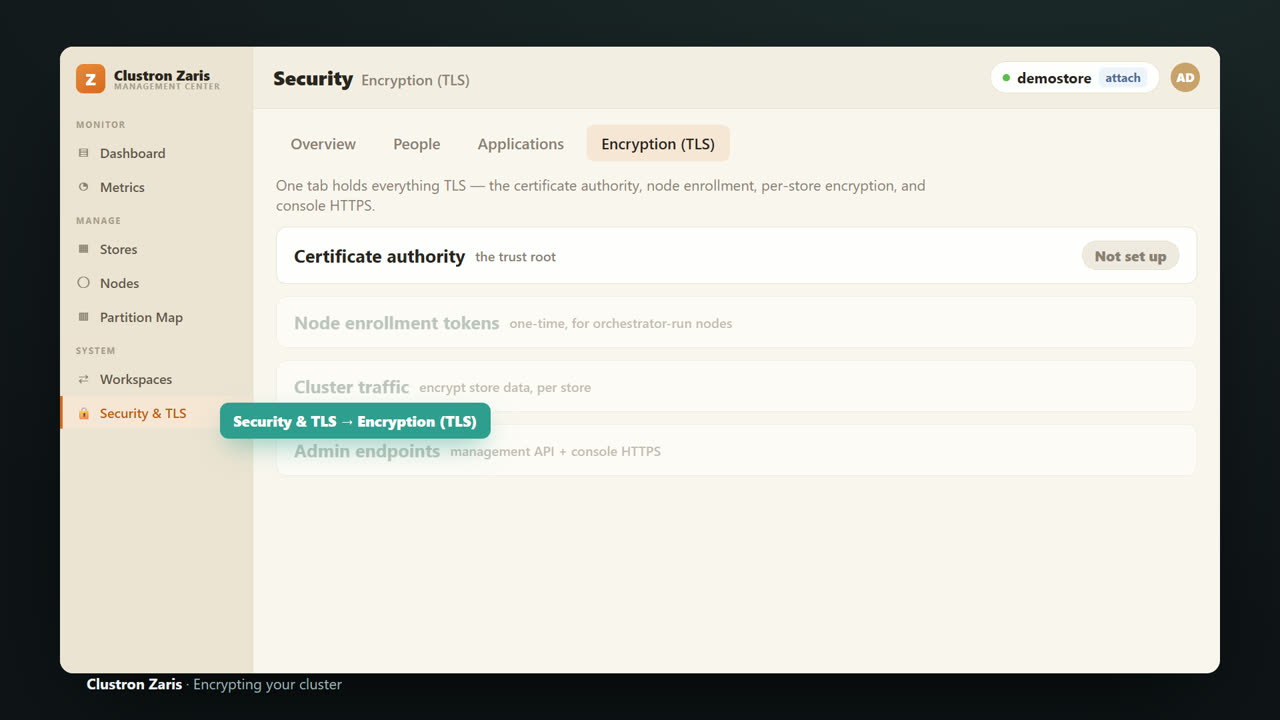 TLS & Mutual TLS for a Distributed .NET Cache — screen 4