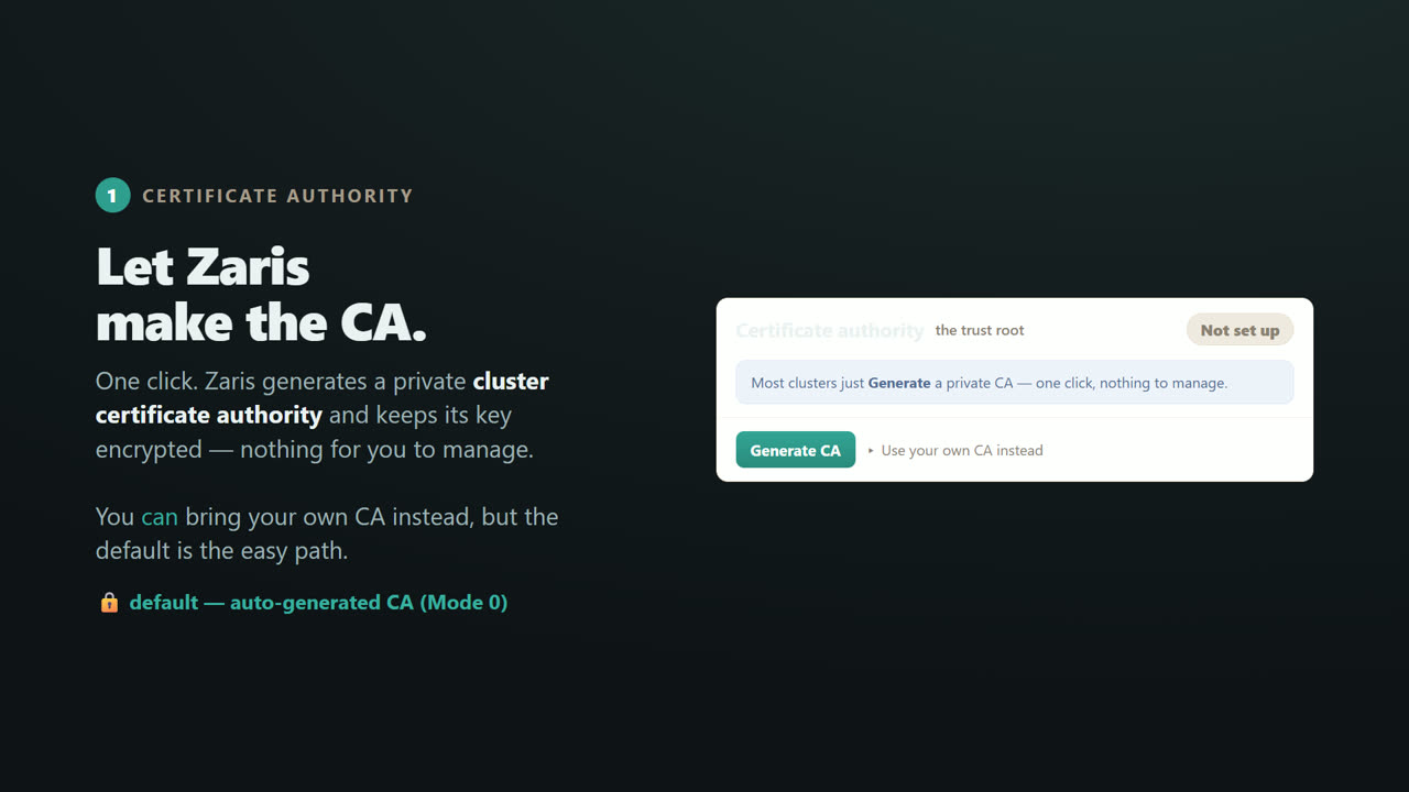 TLS & Mutual TLS for a Distributed .NET Cache — screen 5