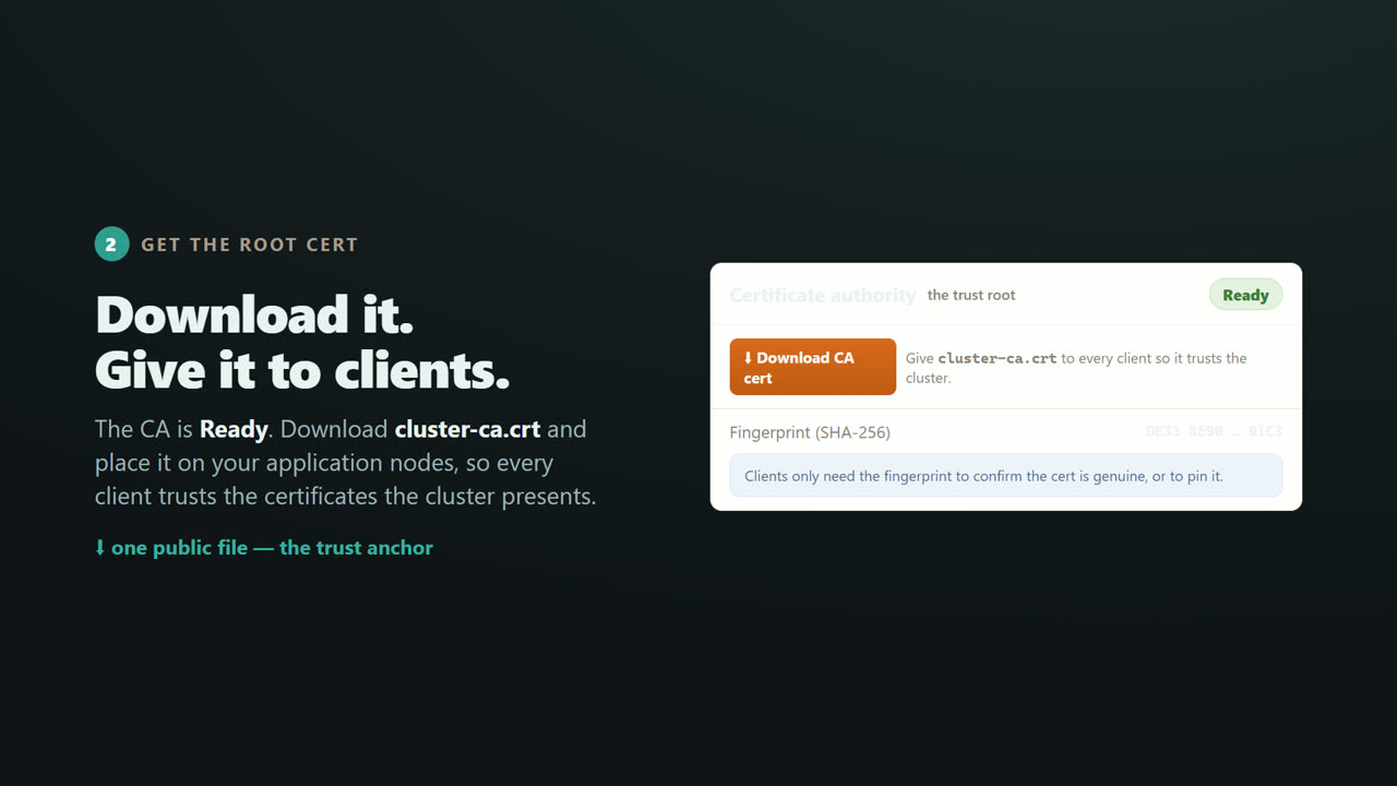 TLS & Mutual TLS for a Distributed .NET Cache — screen 6
