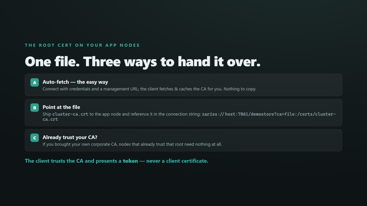 TLS & Mutual TLS for a Distributed .NET Cache — screen 7
