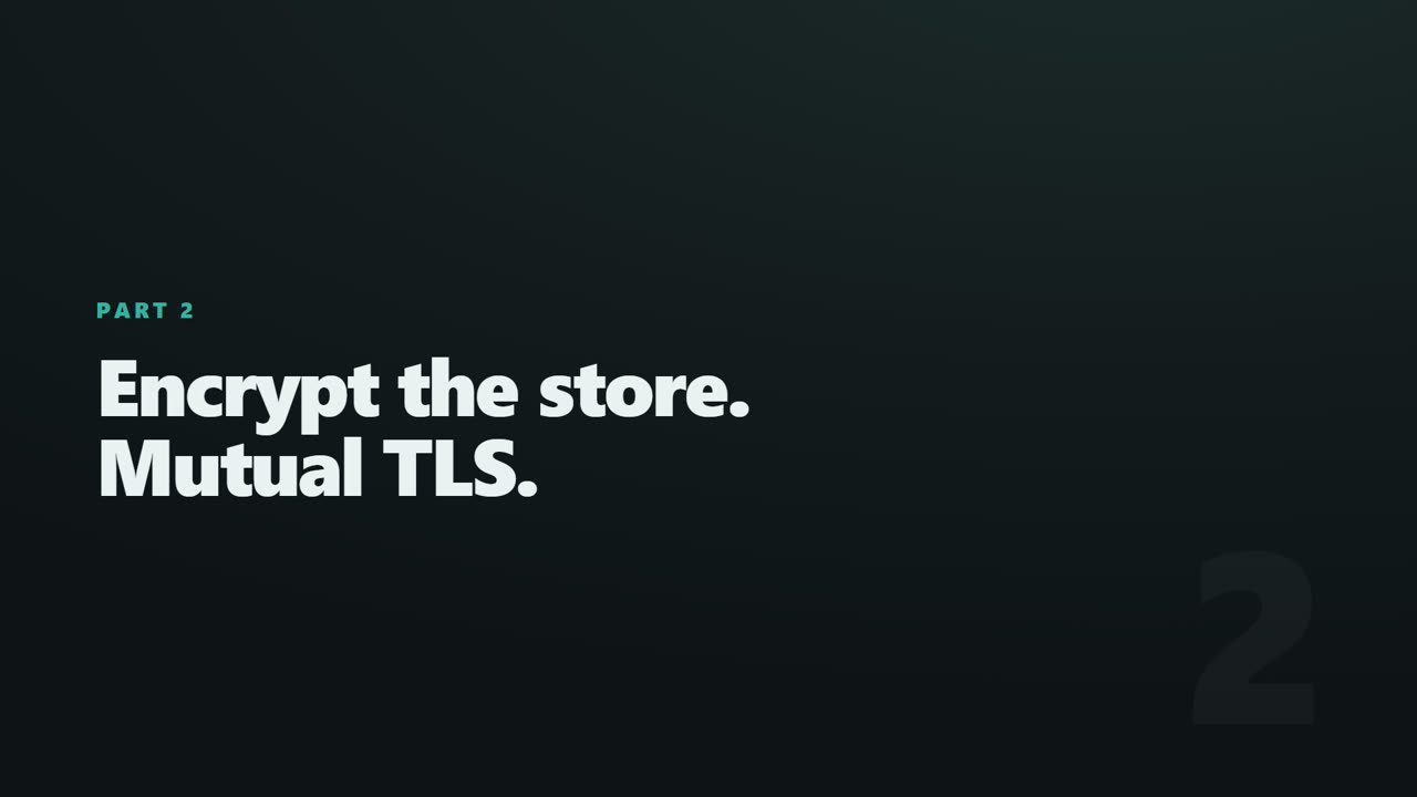 TLS & Mutual TLS for a Distributed .NET Cache — screen 8