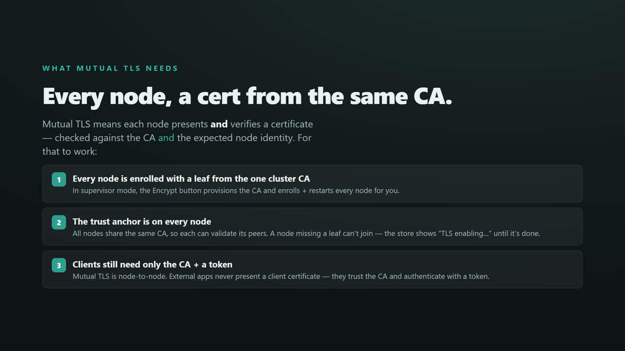 TLS & Mutual TLS for a Distributed .NET Cache — screen 10