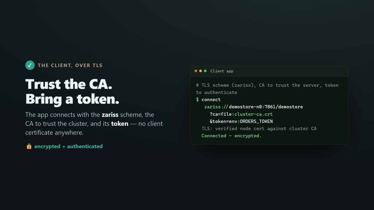 TLS & Mutual TLS for a Distributed .NET Cache — screen 14